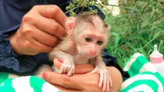 Most Happiest Moment!! Tiny adorable Luca is happily with Mom's comfort  He loves playing outside