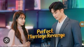 5. PERFECT MARRIAGE REVENGE