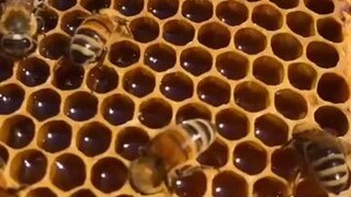 น่ากินนนนน