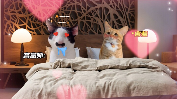 พล็อตเรื่องสุดฟินแบบรวดเร็วในสไตล์ “หลงรักตั้งแต่แรกเห็น”!