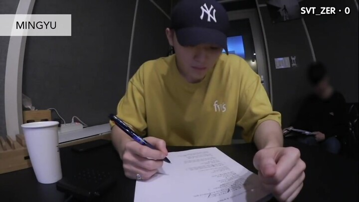 【SVT_ZER·0】[ETC]SEVENTEEN - 飘落的花瓣(Fallin' Flower) WOOZI指导视频 零站中字
