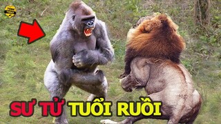 🔴 Nâng 6 CÁI XE Bus "FULL NGƯỜI" 1 Lúc Dễ Như Bỡn, Đây Chính Là Quái Vật Mà Chúa Sơn Lâm Cũng...
