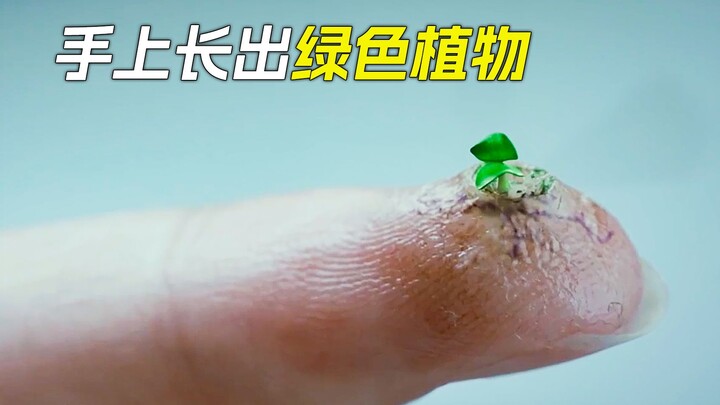 Rambut tumbuh di jari-jari, lalu tubuhku dikendalikan oleh tanaman.