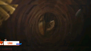 Thanh kiếm diệt quỷ #anime