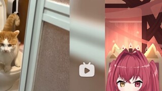 The Japanese devil was watching the "Silly Animal Encyclopedia" and found out that Senior Ling's pri