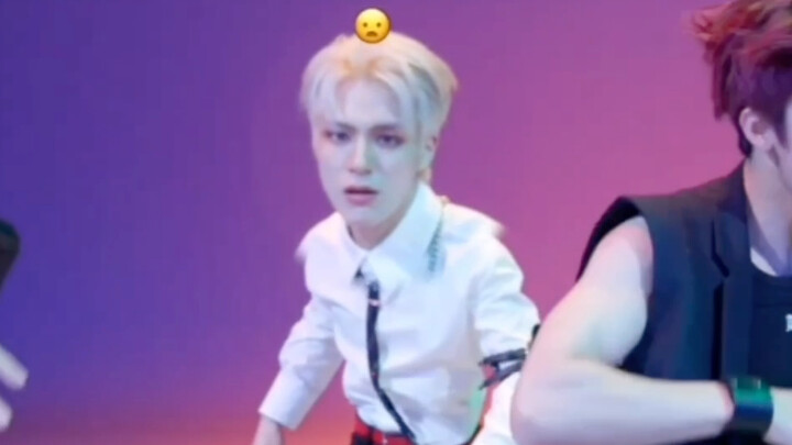 Samoyed messed up—Mengmeng and the whole crew are laughing their heads off lololol