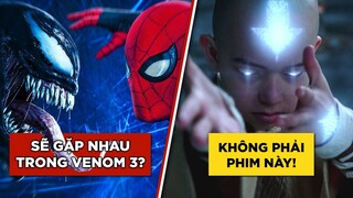 Phê Phim News: TOM HARDY muốn VENOM gặp SPIDER-MAN | THE LAST AIRBENDER người đóng công bố diễn viên