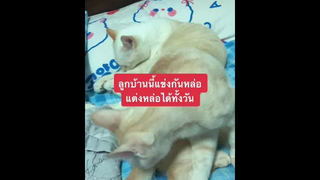 น่ารักจังฮะ🥺