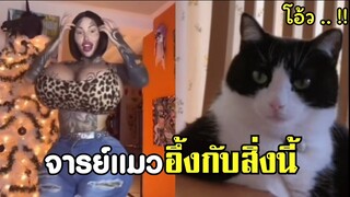 อาจารย์สมแมว อึ้งกับสิ่งที่เห็น !! #รวมคลิปฮาพากย์ไทย