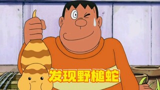 胖虎成为了未来百科全书的风云人物？捷足先登抓到了野槌蛇！