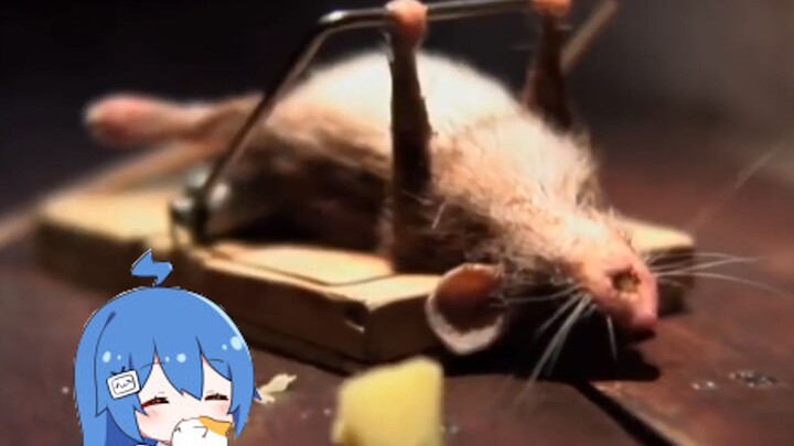 Remember this mouse? The new version is here (hilarious)!