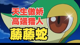 天生傲娇，高端猎人—“合众大姐大”藤藤蛇