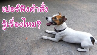 ช็อปเปอร์ฟังคำสั่งรู้เรื่องไหม?