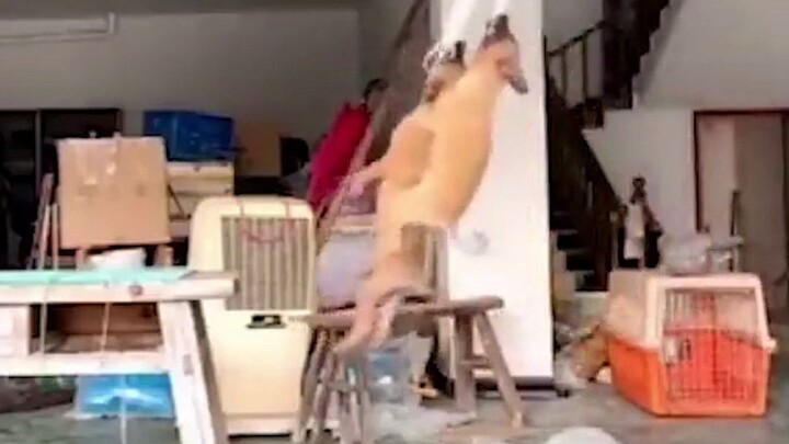 มีเพื่อนแท้เท่านั้นที่พร้อมสุขร่วมทุกข์กับคุณ