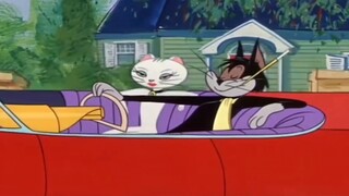 Ketika saya masih kecil, saya tidak dapat memahami episode Tom and Jerry ini. Hanya ketika saya memb