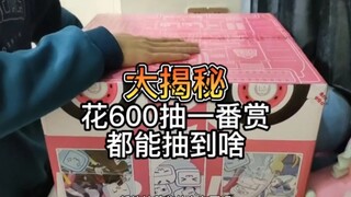 大揭秘，花600抽魔力赏都能抽到啥东西