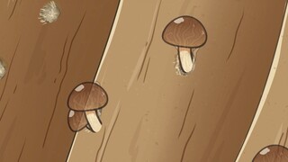 Knocked mushrooms grow very quickly