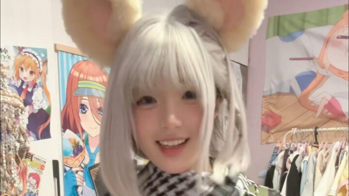 麦小鼠合集