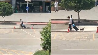 A boy went home on holiday and walked with a kitten under the scorching sun. The cat said: What road