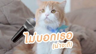 แมวน่ารัก-เพลง ไม่บอกเธอ (น่าจะดี)
