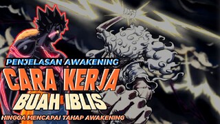 APA ITU AWAKENING !? PENJELASAN CARA KERJA BUAH IBLIS