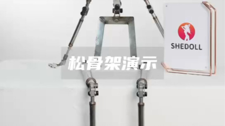 SHEDOLL全松骨架演示