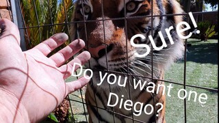 Diego really want to get his claws on one role !