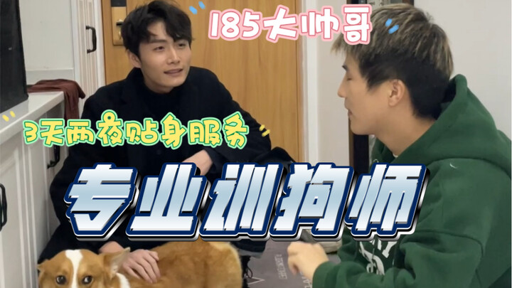 A professional dog trainer who’s a total pro at training! Get your dog to obey effortlessly with jus