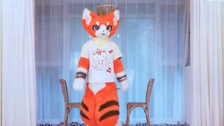 【Fursuit Dance】Teddy Bear - StayC | Ruishu Christmas Special Good cats also want to get Christmas gi