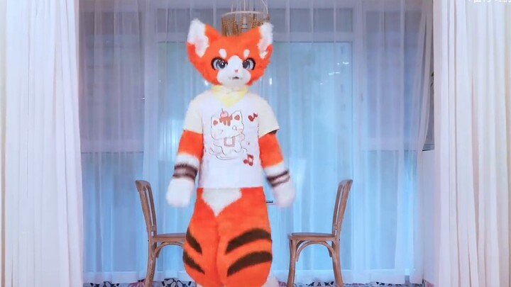 【Fursuit Dance】Teddy Bear - StayC | Ruishu Christmas Special Good cats also want to get Christmas gi