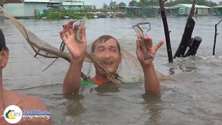 Cùng Nhau Dở Chà HỐT TÔM CÀNG XANH | Hội Ngộ Miền Tây - Tập 257