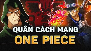 ONE PIECE | QUÂN CÁCH MẠNG - THẾ LỰC DUY NHẤT CHỐNG LẠI CHÍNH PHỦ THẾ GIỚI