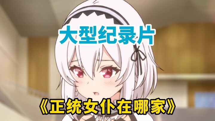 Bộ phim tài liệu quy mô lớn “Nữ hầu chính thống ở đâu?” [ Azur Lane ]