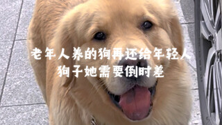 The old man's dog is returned to the young man. She needs to adjust to the time difference.