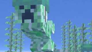 Turtle Hat