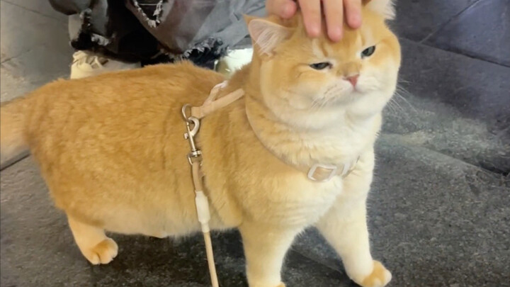 يمكن للشخص أن يلمس، لكن لا يمكنه التقبيل