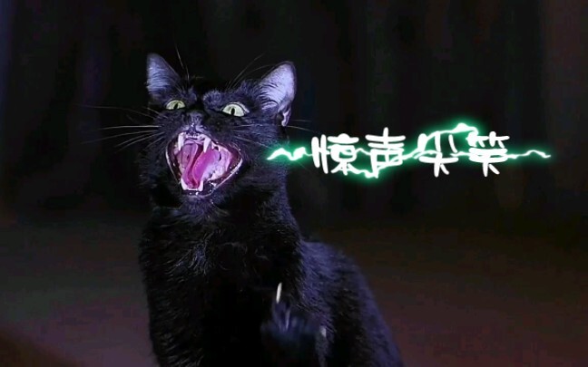 Tawa Terkejut "Seri Komedi Amerika Lucu"