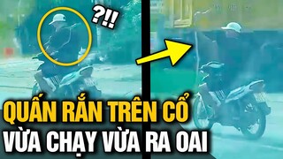 Khiếp sợ với khoảnh khắc nam thanh niên QUẤN RẮN QUANH CỔ lượn lờ khắp đường phố