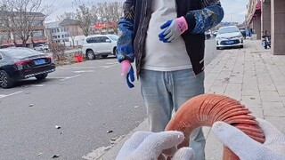 今天不下屯 收鹿茸，给碎嘴粉丝切鹿茸，舔个大脸让我给他留点缝 #鹿茸 #梅花鹿养殖 #三农 #vlog日常