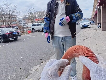 今天不下屯 收鹿茸，给碎嘴粉丝切鹿茸，舔个大脸让我给他留点缝 #鹿茸 #梅花鹿养殖 #三农 #vlog日常