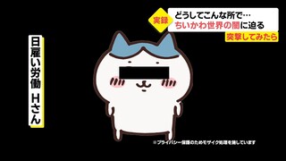 【ちいかわ】ナゼ彼は不便で危険な洞窟暮らしを続けるのか？【突撃してみた】