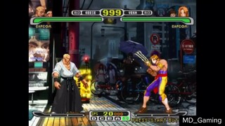 MILLENNIUM FIGHT 2000 PRO