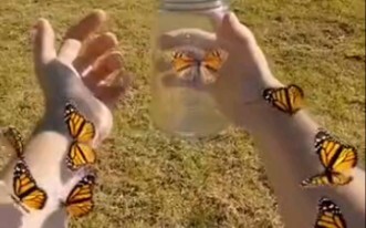 Even SpongeBob wouldn't dare act like this