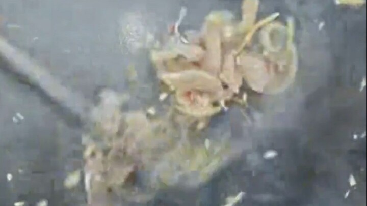 Parasites: Look how active I am—still up for sashimi?