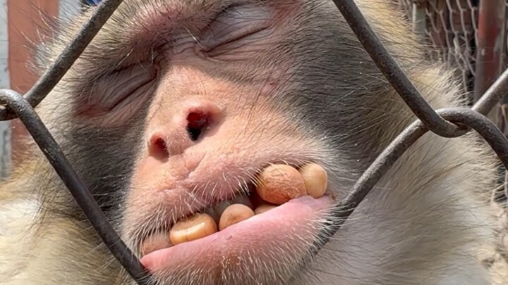 أنتِ طوال حياتكِ، لن تقلقي بشأن الطعام والشراب.