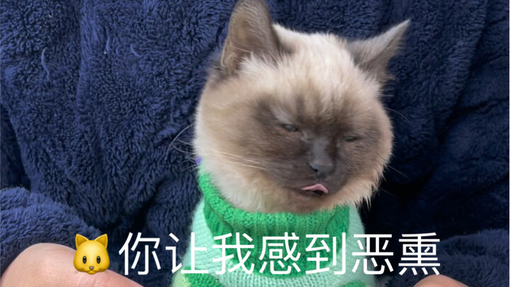 Xiao Bi is rolling his eyes.