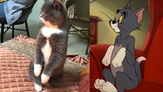 “Kucing dan tikus, jangan menipuku.”