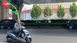 ฉันไม่เคยรู้สึกเหงาเลย โรแมนติกมากขึ้น ฉันเป็นอิสระอย่างสมบูรณ์