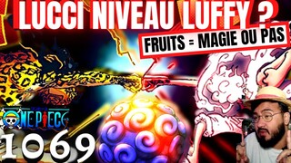 ONE PIECE 1069 - LUCCI = LUFFY ?! FRUITS DU DÉMONS MAGIE OU TECHNOLOGIE ? THÉORIE - REVIEW MANGA