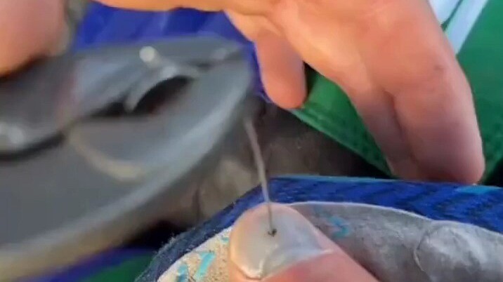 A Guy Who’s All About the Allen Key